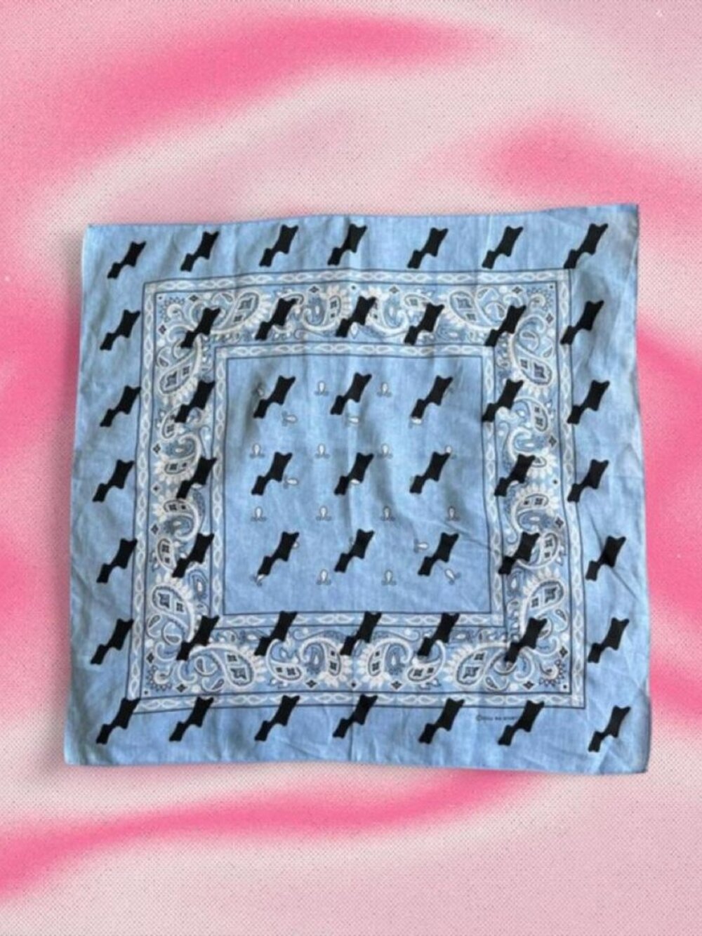 Justin Bieber SKYLRK Baby Blue Bandana